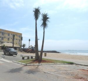 Read more about the article Revitalização da Praia Central