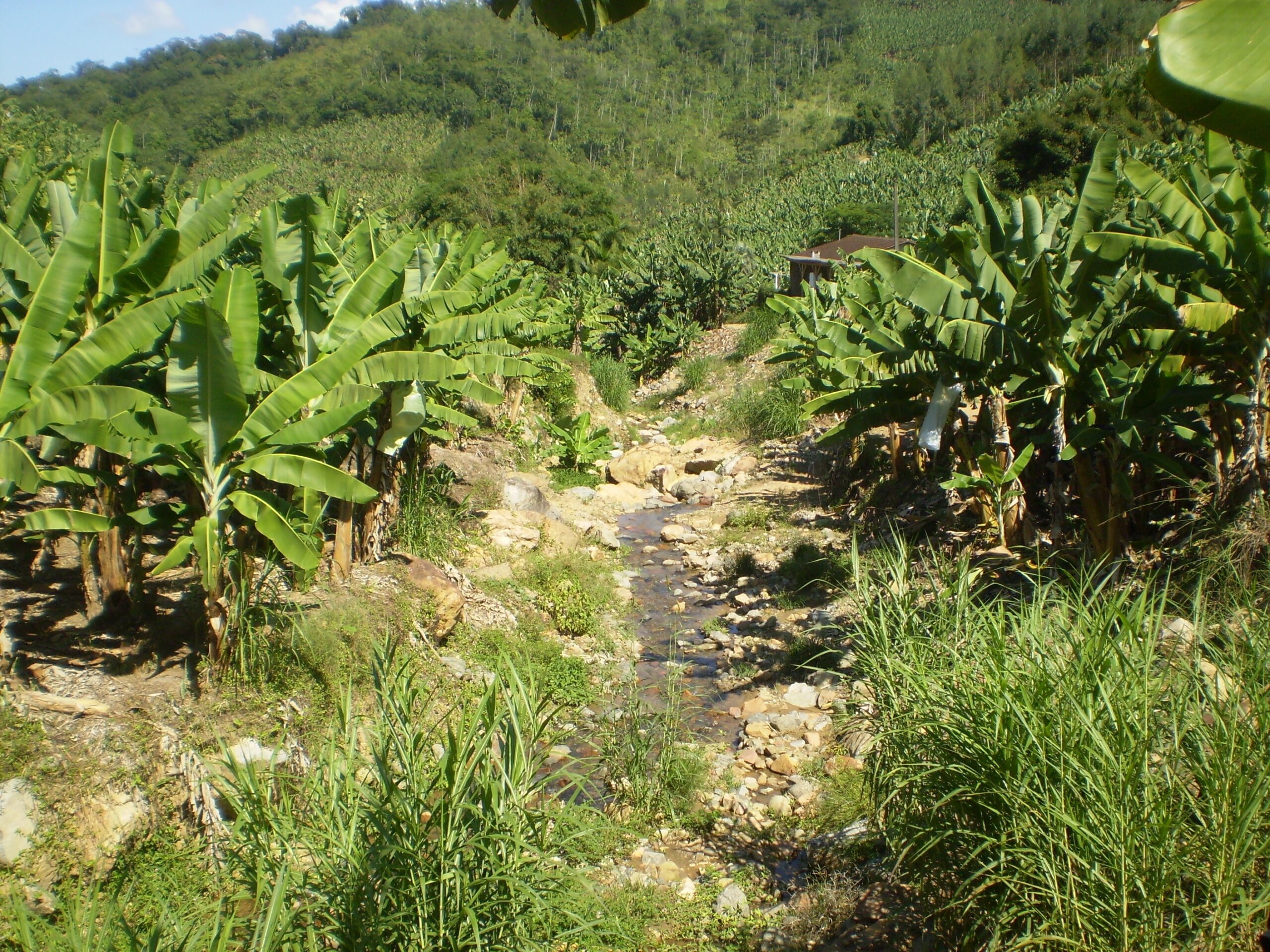 Read more about the article AMVALI celebra Termo de Colaboração com o Ministério do Meio Ambiente