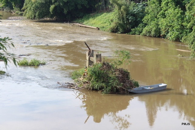 Read more about the article Defesa Civil faz limpeza de pilar no Rio Itapocu