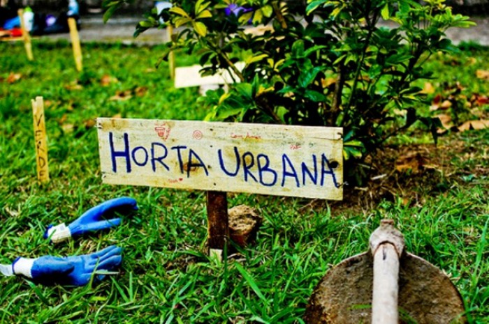 Read more about the article Secretaria de Agricultura Lança Projeto Agricultura Urbana