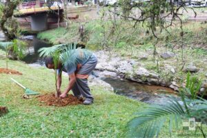 Read more about the article Mata ciliar do Ribeirão Molha é recuperada