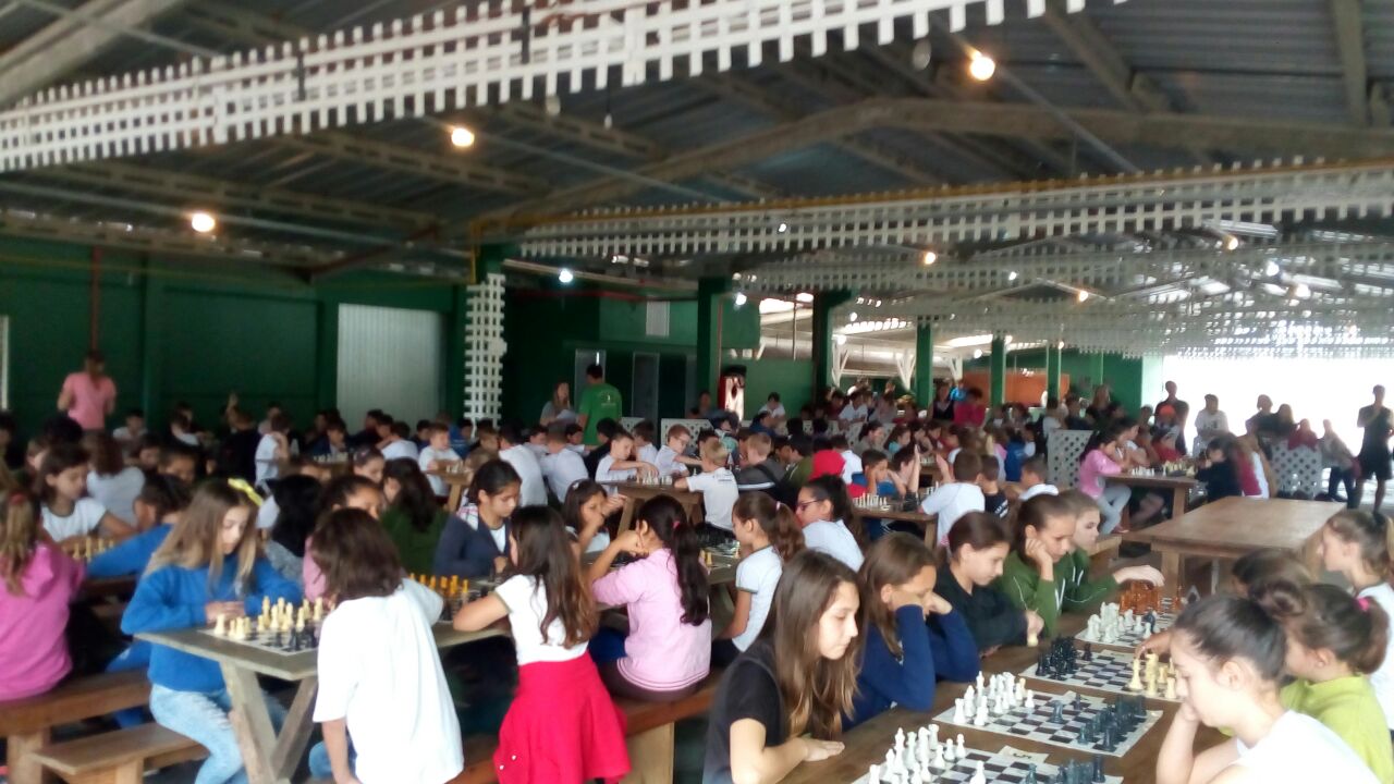 You are currently viewing Estudantes participam do Festival Escolar em Schroeder