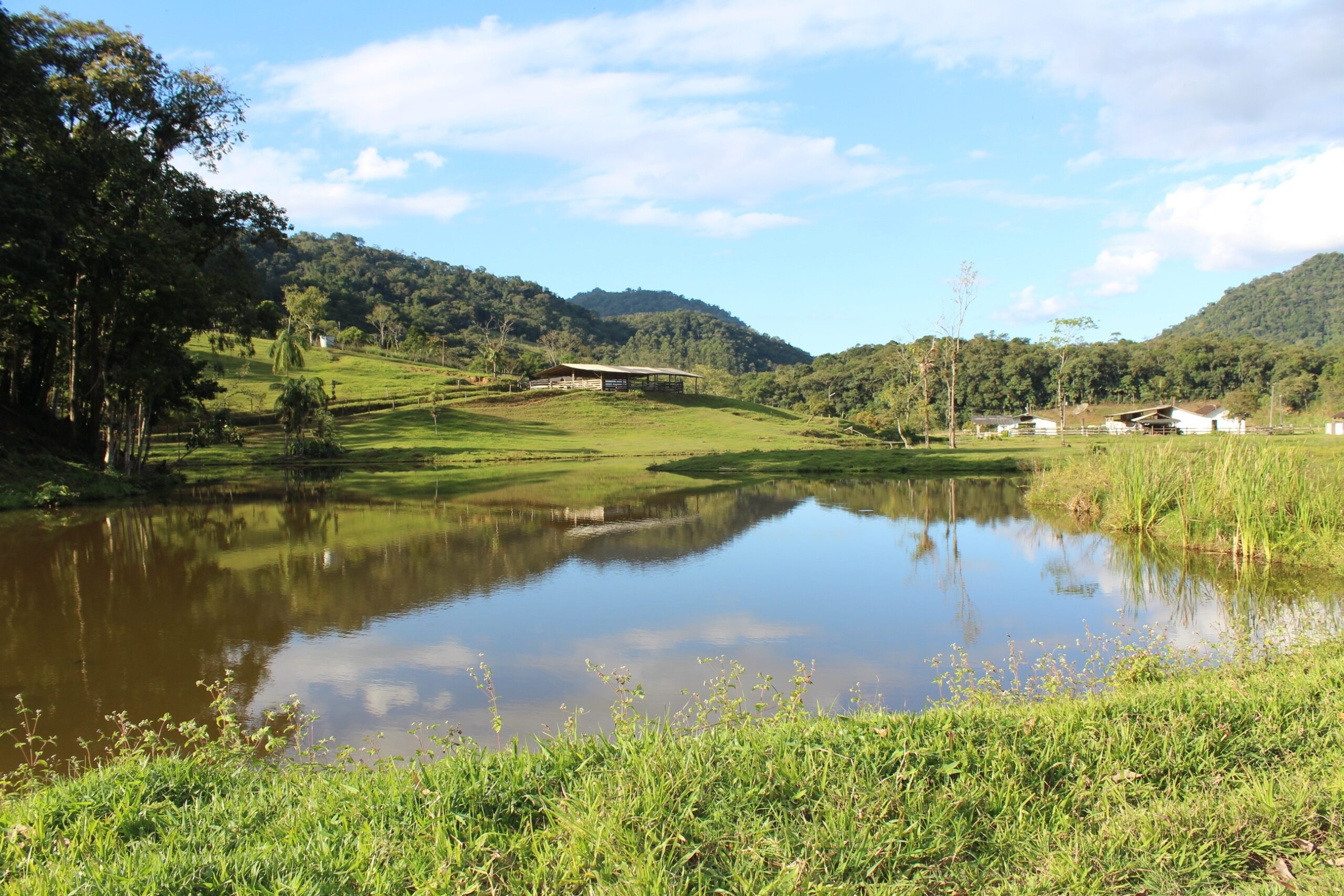 You are currently viewing Município investe em saneamento rural