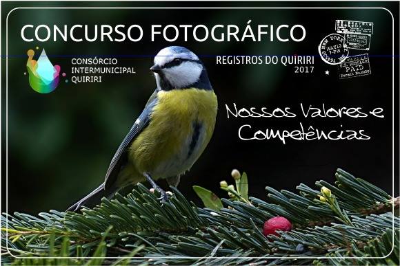 You are currently viewing Prorrogadas inscrições para o Concurso Fotográfico do Consórcio Quiriri