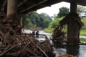 Read more about the article Limpeza dos rios Jaraguá e Itapocu acontece neste sábado