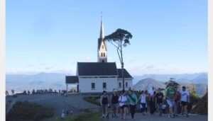 Read more about the article Caminhada rendeu mudas de araucária para plantio em São Joaquim