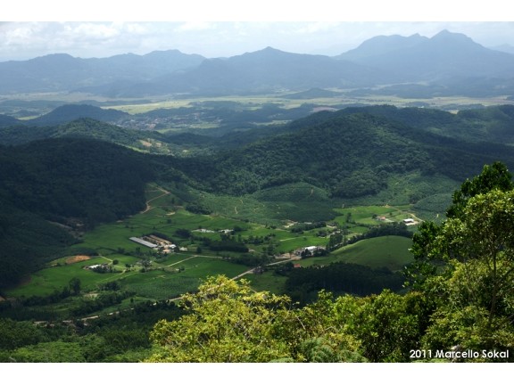 You are currently viewing Que tal explorar Massaranduba nessas férias?