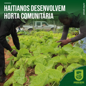 Read more about the article Haitianos desenvolvem horta comunitária no Rau