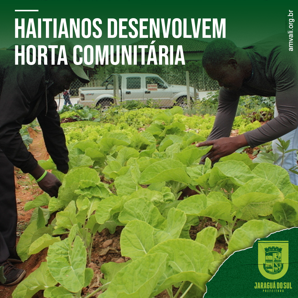 You are currently viewing Haitianos desenvolvem horta comunitária no Rau