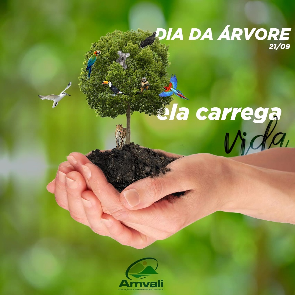 Read more about the article Dia da Árvore