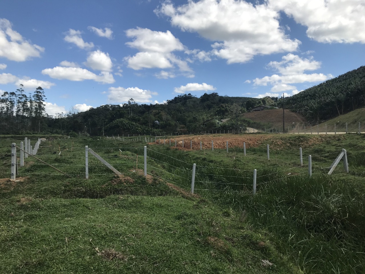 Read more about the article Projeto Mananciais finaliza os primeiros plantios de árvores em Massaranduba