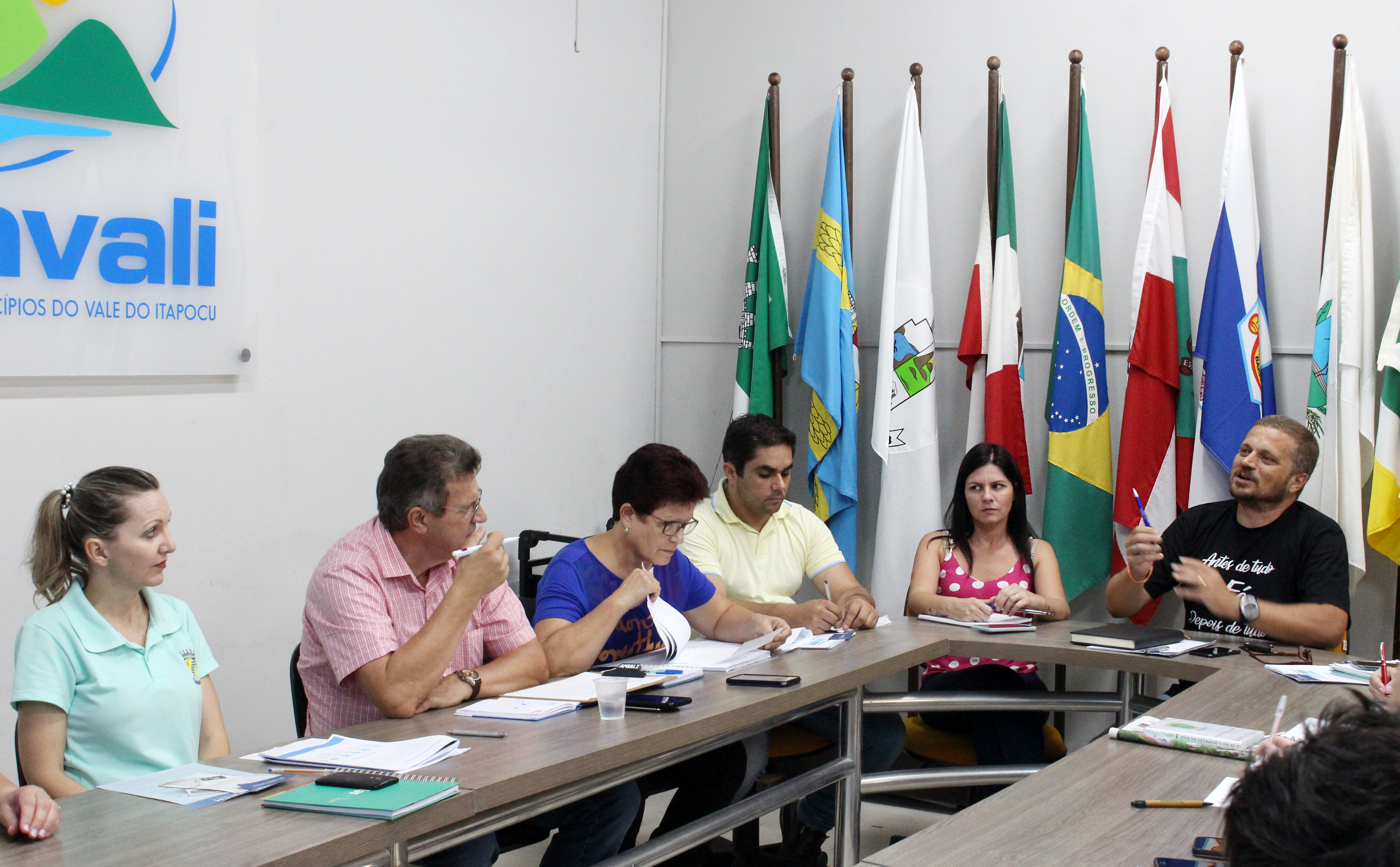 Read more about the article 1ª Reunião do Colegiado de Saúde da Amvali