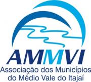 Read more about the article AMMVI COMEMORA 38 ANOS