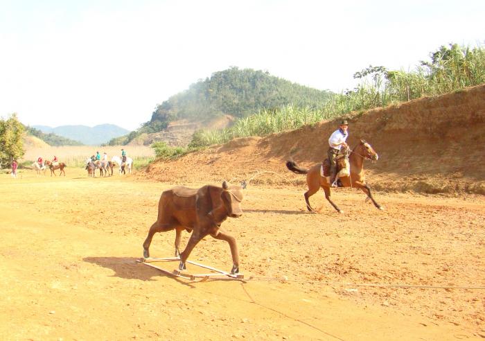 Read more about the article Final do Campeonato de Laço será neste domingo