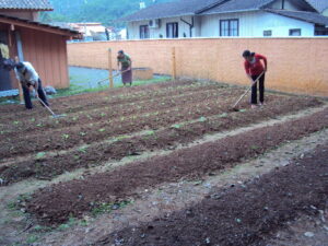 Read more about the article Retomada Horta Comunitária do Cras da Corticeira