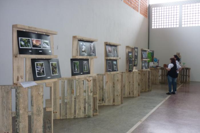 You are currently viewing Equipe “Unidos pela Figueira”, da Escola Teresa Ramos vence Gincana Ambiental