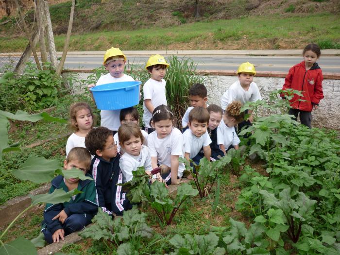 Read more about the article Projeto Horta Escolar – semente do alimento e do saber