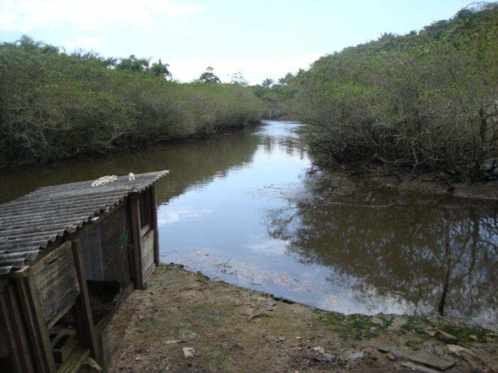 You are currently viewing Fundema autoriza poda nas margens do Rio Itajuba