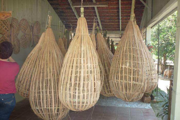 You are currently viewing Família corupense confecciona objetos de fibra de bananeira para ornamentação para a Festa das Flores de Joinville