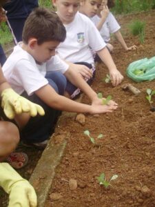 Read more about the article Estudantes plantam e colhem alimentos na Escola Francisco de Paulo