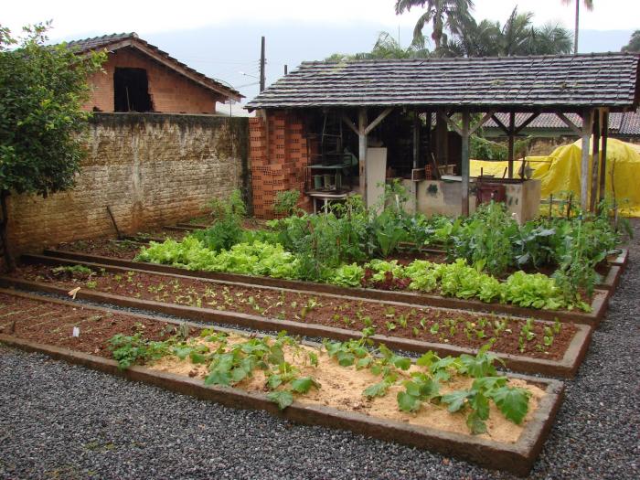 You are currently viewing Programa “Boas Sementes” lança proposta de alimentação saudável