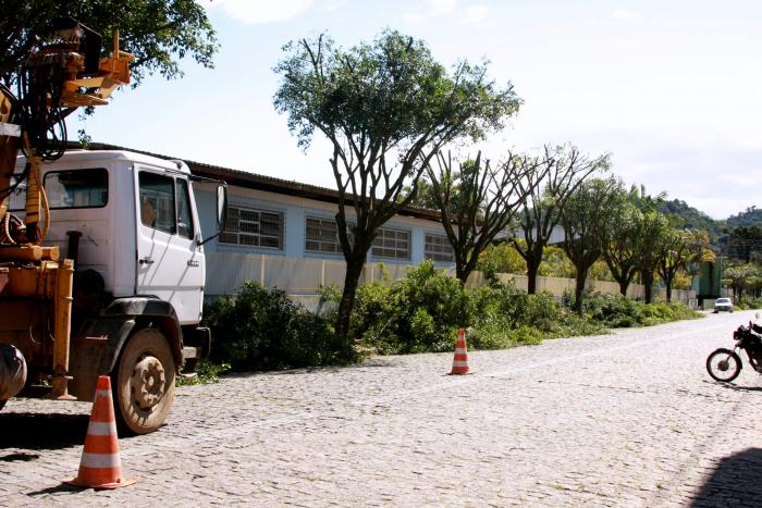 Read more about the article Se o clima ajudar poda de árvores deverá ser concluída neste sábado