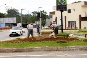 Read more about the article Ajardinamento e substituição de árvores em diversas ruas da cidade