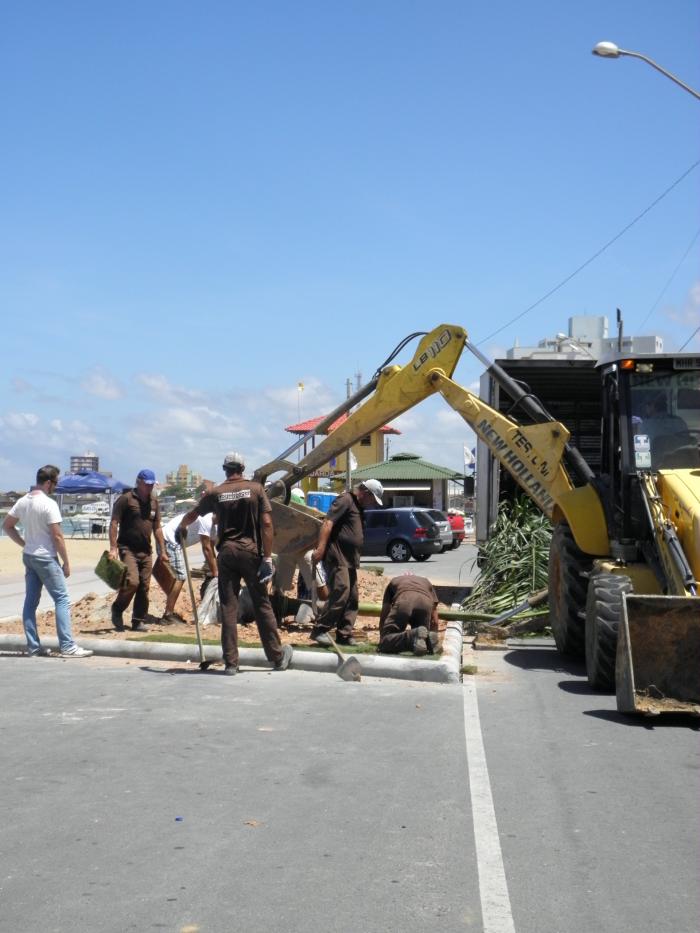 Read more about the article Árvores estão sendo plantadas na orla de Barra Velha