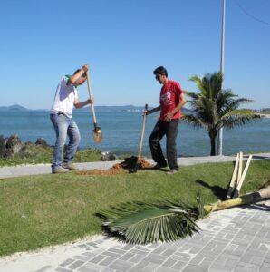 Read more about the article Calçadões das praias de Barra Velha foram arborizados