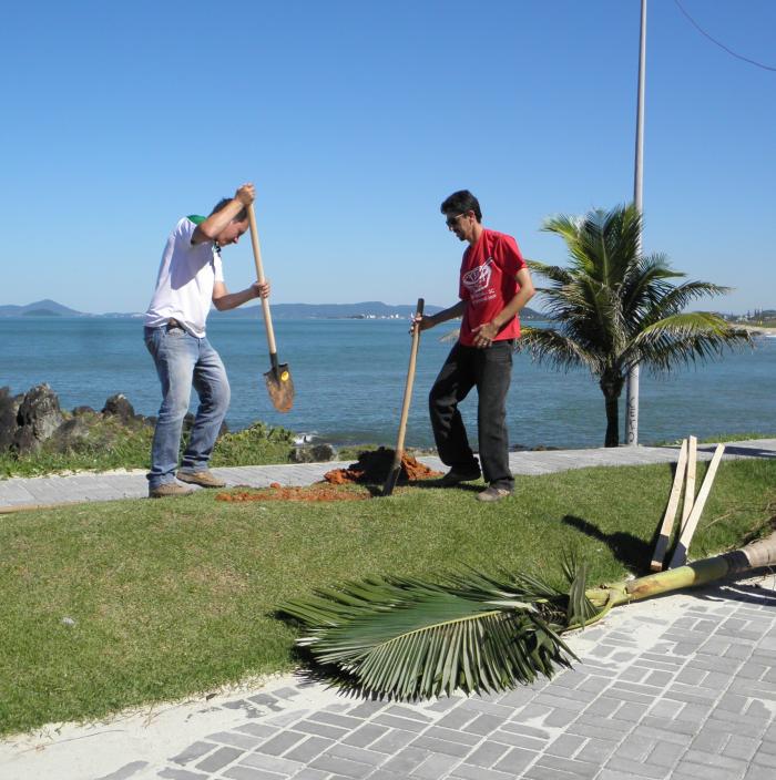 You are currently viewing Calçadões das praias de Barra Velha foram arborizados