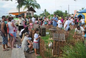 Read more about the article Fundação de Turismo de Barra Velha distribui mais de mil cestas de Páscoa