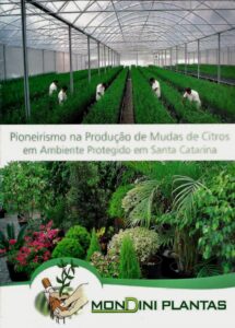 Read more about the article Secretária de Agricultura de Barra Velha e Epagri iniciam campanha de mudas frutíferas e ornamentais