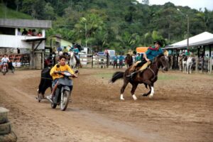 Read more about the article Campeonato Municipal de Laço inicia em Guaramirim