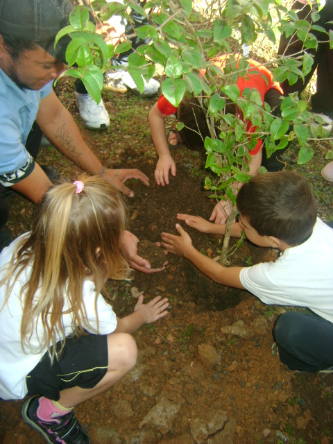 Read more about the article Alunos do Jardim II da Escola Aluísio plantam mudas de flores