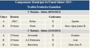 Read more about the article Futsal Sênior inicia hoje em Guaramirim