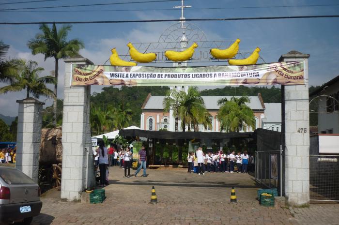 You are currently viewing Programação alusiva ao dia da banana será de 19 a 23 de agosto