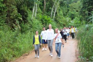 Read more about the article Domingo (1º/6) acontece caminhada na região de Nereu Ramos