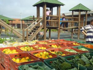 Read more about the article Programa de Aquisição de Alimentos