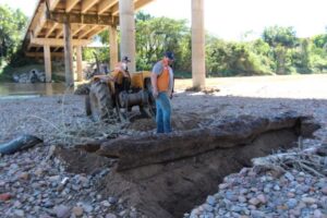 Read more about the article Limpeza de pilares de pontes deve ser concluído em duas semanas