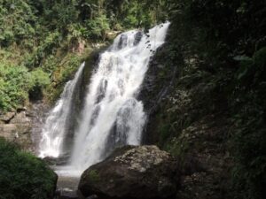 Read more about the article Rota das Cachoeiras – acesso será liberado a partir do próximo dia 20